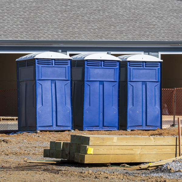 what is the maximum capacity for a single portable toilet in Riga New York